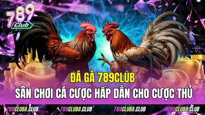 Đá Gà 789club – Sân Chơi Cá Cược Hấp Dẫn Cho Cược Thủ